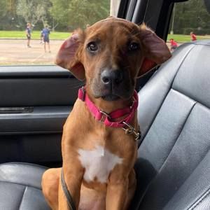 Meet your Posher, Mandy